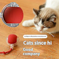 Miniatyrbild 3 av 5: Kattinteraktiv bollleksak Automatisk rullande boll Falsk svans Uppladdningsbar Smart husdjur Elektrisk leksak Hund Kattträning Imitera mus-FÄRG: grå