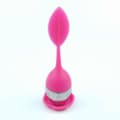 Miniatyrbillede 1 af 5: Løs Te Infuser Silikone Håndtag Rustfrit Stål 2 stk - pink