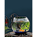 Miniatyrbillede 1 af 5: Akvarievarmer med Digital Display 10w Mini til både ferskvand og saltvand Termostat-hy