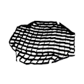 Miniatyrbillede 1 af 5: Fotografisk Honeycomb Grid til 80cm / 31\" Octagon Paraply Softbox Studio/Strobe Paraply Softbox