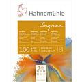 Miniatyrbild 1 av 2: Pastellblock Hahnemühle Ingres 100g, 42x56cm, 9 färger, 20 ark multifärg
