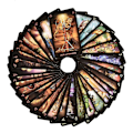 Miniatyrbild 4 av 5: Ciro Marchettis Tarot of Dreams Dream Tarot Weiweiwei Tarot null none