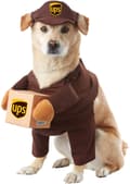 Halloween Kostym California S Husdjur Ups Kompis Hund