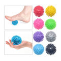 Pikkukuva 1 / 4: 2 kpl Spiky Ball Pyöreä Lihas Hieronta Roller Jooga Stick Body CNMR multicolor
