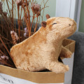 Pikkukuva 5 / 5: Simulaatio Capybara-pehmolelu ja Capybara-täytetty nukke -1 Brown