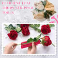 Miniatyrbilde 3 av 5: Rose tornerfjernerverktøy, 2-pakning rose tornerfjerner med fjærdesign, effektiv tornerfjerner for roser og blomsterstengler, tornerfjerner for hagearbeid