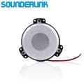 1st Mini Shaker Bas Vibration Högtalare Resonans Subwoofer för Hemma Bio Soffa Bilsäte