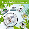 Miniatyrbillede 2 af 5: 11 stk. Resin Insektprøve, Insektsamling Brevvægt, Resin Ægte Insekter, Forskellige Insekter Sp[C]