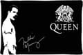 Freddie Mercury Queen Anpassat Örngott Rektangulära Örngott en sida-40x60cm tum AB-6049 40x60cm