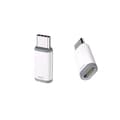 Lightning (hona) till USB-C (hane) adapter