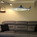 Miniatyrbild 2 av 3: Shark metall väggkonst dekor Ocean fisk dekoration för uteplats pool vägg prydnad 10in