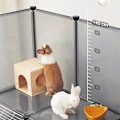 Miniatyrbillede 6 af 7: Songmics Marsvinelegeplads, DIY Hutch-bur til små kæledyr, grå