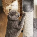 Miniatyrbild 4 av 7: Cat Tree, Cat Condo, Activity Center, 120 Cm, Ljusgrå