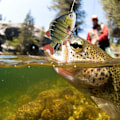Miniatyrbild 4 av 8: Bionic Multiple Segments Bete Fish Lure Tilapia Shape med Diskantkrok Fiskeredskap 8,5cm3#