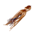 Miniatyrbillede 5 af 8: Octopus Simulering Fiskerigge Kjol Trolling Fiske Lokkemad Jigs med fangstfarve til ferskvand havvand