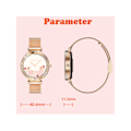 Miniatyrbild 4 av 4: Smartwatch för kvinnor: Pulsmätning Blodsyre Menstruationscykelövervakning Sömnövervakning Bluetooth Silver