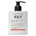Pikkukuva 2 / 2: REF Colour Boost Masque Radiant Red 200ml Transparent