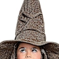 Pikkukuva 4 / 4: Disguise Harry Potter Lajitteluhattu, ruskea