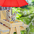 Miniatyrbillede 4 af 5: Egern Foderhus Vejrbestandigt Egern Picnicbord Træ Egern Foderbord Med Parasol [adva