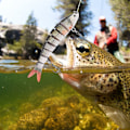 Pikkukuva 4 / 8: 13,7 cm Muovinen Kova Kalastussyötti 8 Osainen Uppova Vaappu Koukut Tarvikkeet Bassolle (JM034-1)