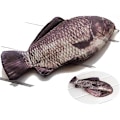 Miniatyrbillede 3 af 5: Fisk Blyantspung Sjov Blyantsæske Fisk Form Lynlås Lomme Nyhed Fisk Blyantspung til Skole Klasseværelse Tilbehør