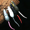 Miniatyrbillede 9 af 10: Fiskelokkemad Rotte agn BB B B