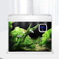 Miniatyrbillede 4 af 10: LED Digital Akvarie Termometer Mål Temp Måler Værktøj Stick-on Type FishTank Stick-on Vand Elektronisk Termometer
