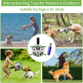 Miniatyrbilde 5 av 9: Hunde leker, interaktive fotball leker for hunder med grepestropper, holdbare hundeballer for små og mellomstore hunder