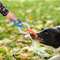 Miniatyrbild 3 av 9: Aggressiva hundtuggleksaker,  Interactive Squeak Toys Dog Chewing Ring Toy,Chew Toys Ring för tandrengöring, oförstörbara hundleksaker för små Orange1