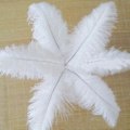 Miniatyrbillede 5 af 5: 1~50 pakke 30-35 cm Store Strutsfjer Plym Håndværk Bryllup Fest Dekorationer Hvid White 30pcs