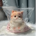 Miniatyrbild 3 av 5: Stor Taba Squishy Katt, Taba Katt Squishy Klämleksaker, Bedårande Squishy Katt, Squishy Gummikatt, för Fest och Födelsedag Eller Jul (Orange)
