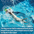 Miniatyrbilde 3 av 9: Hunde leker, interaktive fotball leker for hunder med grepestropper, holdbare hundeballer for små og mellomstore hunder