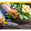 Miniatyrbillede 2 af 5: Rustfrit stålblomsterske, haveskovl, børns metalskovl