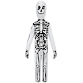 Pikkukuva 3 / 5: 3-14 -vuotiaiden lasten luuranko body, käsineet ja maski cosplay-setti 5-7 Years