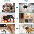Miniatyrbilde 5 av 5: Hunde munnkurv, myk nylon anti biting bjeffing tygging, luftnett pustende drikkbar justerbar løkke kjæledyr munnkurv-M-svart
