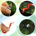 Miniatyrbilde 4 av 7: 24 stk falske slanger, plastslanger 4 tommer regnskogslanger realistiske gummislanger assorterte fargerike gummislanger