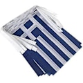 Miniatyrbilde 2 av 2: Greske flagg Greske små flaggremser Mini flagg vimpler dekorasjoner - Hellas -