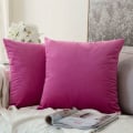 Miniatyrbilde 1 av 5: Set med 2 plysj dekorative putetrekk Sofa trekk Super glatt myk komfortabel dekorasjon Hjem Stue Soverom for Sofa 60x60cm