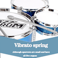 Pikkukuva 6 / 8: Pienille lapsille tarkoitettu kestävä ja iskunkestävä rumpusetti Irrotettava rumpuinstrumentti Bl Blue Three Drum Set Drum