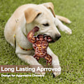 Pikkukuva 2 / 3: Indestructible Dog Toys for Aggressive Chewers, Extreme Tough Dog Toys for Large Dogs, Real Beef Flavored, Dog Bone for Medium/Large Dogs Breed