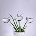 Miniatyrbild 5 av 5: 5 st Glas Automatisk Vattning, Växtvattnare Transparent Fågelformade Glober för Inomhusväxter Trädgårdsinsatser Blommor-Perfekt