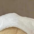 Pikkukuva 2 / 4: Täytetyn eläimen vaatteet söpöt muodikkaat plushiset piirretty nukkevaatteet karhuille tyyppi 6
