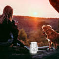 Miniatyrbillede 3 af 5: Husdyr Aske Lille Kremeringsurne Mini Minnesmärke Urna for Husdyr Minnesmärke Urna i Rustfrit Stål Minnesmärke Urna Hund Kat Urna