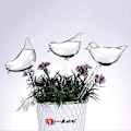 Miniatyrbild 4 av 5: 5 st Glas Automatisk Vattning, Växtvattnare Transparent Fågelformade Glober för Inomhusväxter Trädgårdsinsatser Blommor-Perfekt