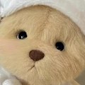 Pikkukuva 4 / 4: Täytetyn eläimen vaatteet söpöt muodikkaat plushiset piirretty nukkevaatteet karhuille tyyppi 6