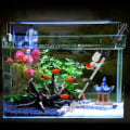Miniatyrbild 4 av 4: Elektrisk dammsugare Akvarium Grustvätt, Akvarium Vattenbyte