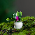 Pikkukuva 7 / 8: 4 kpl 1:12 nukkekoti Miniatyyri mini puu ruukussa vihreä