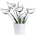 Miniatyrbild 1 av 4: 10-pack Självbevattning i Glas, Transparenta Fågelformade Glober Växtbevattnare för Inomhusväxter Trädgårdsstöd Blommor