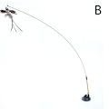 Pikkukuva 1 / 5: Simuloitu lintu interaktiivinen kissanlelu Rauhallinen lintu B（Suction cup style）