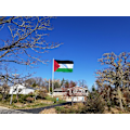Pikkukuva 5 / 6: Palestiinan lippu 150*90CM